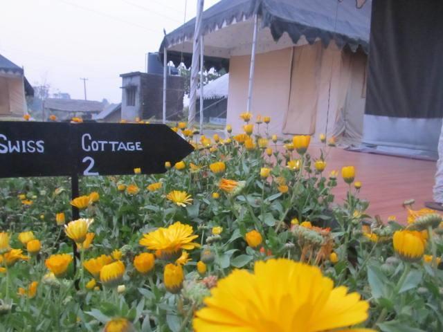 Derra Camp And Resort Jhajra Luaran gambar